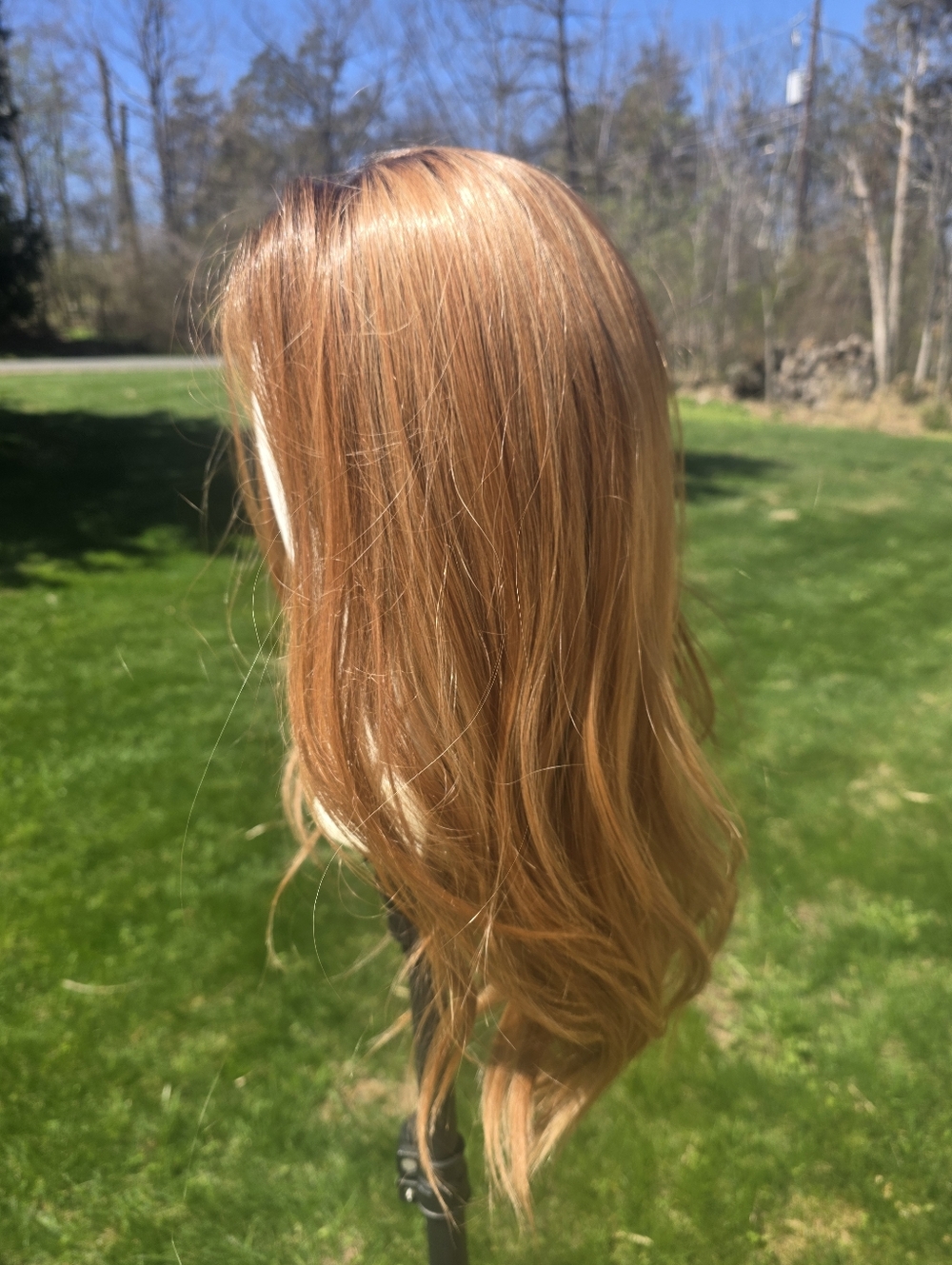 Chelsey Smith Dakota Rich Honey Swiss Lace NWT + CSC winged liner stamp. - Picture 6 of 12